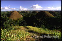 Due to geological formations, these forms with undulating hills near the town of Carmen is known as the Chocolate Mountains. Mountains of Chocolate Hills. Bohol. The Visayas.